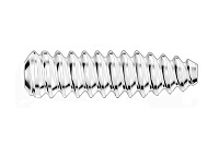 ABSOLUTE Interference Screw